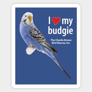 CB Blue Budgie 1 Magnet